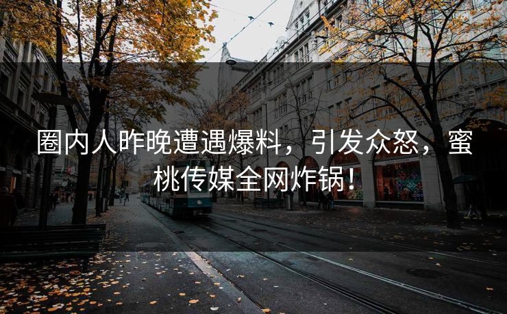 圈内人昨晚遭遇爆料，引发众怒，蜜桃传媒全网炸锅！