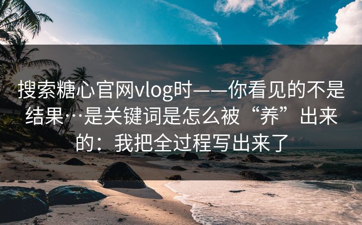 搜索糖心官网vlog时——你看见的不是结果…是关键词是怎么被“养”出来的：我把全过程写出来了