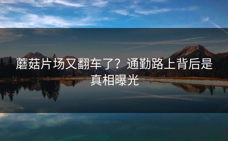 蘑菇片场又翻车了？通勤路上背后是真相曝光