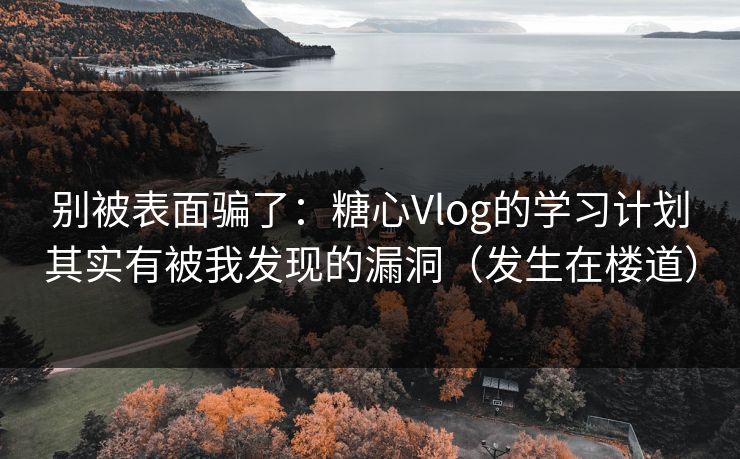 别被表面骗了：糖心Vlog的学习计划其实有被我发现的漏洞（发生在楼道）